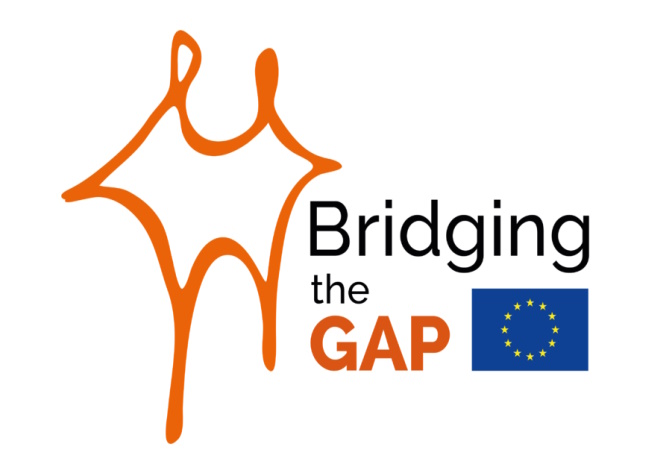 Bridging The Gap Project (BTG)